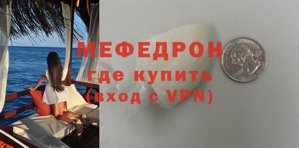 шишки Белокуриха