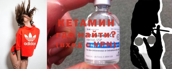 шишки Белокуриха