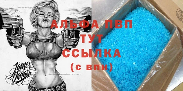 шишки Белокуриха