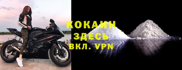 шишки Белокуриха