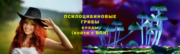 ешки Белоозёрский