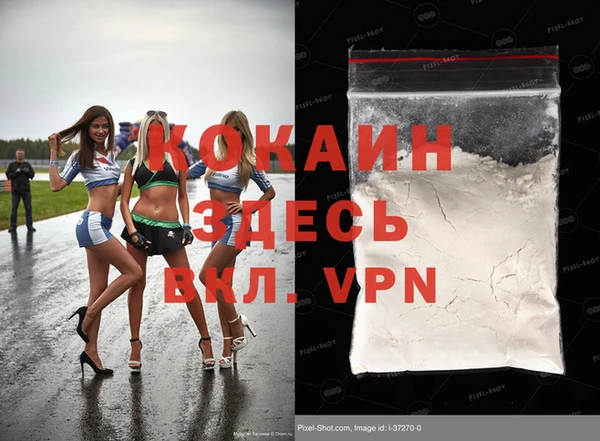 шишки Белокуриха