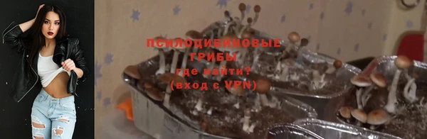 шишки Белокуриха