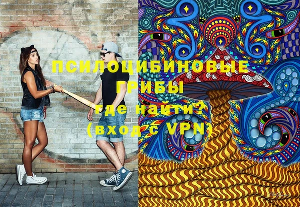 шишки Белокуриха