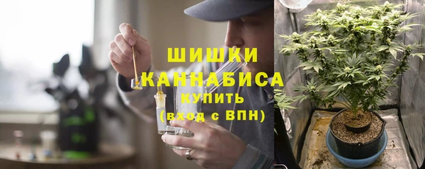 шишки Белокуриха